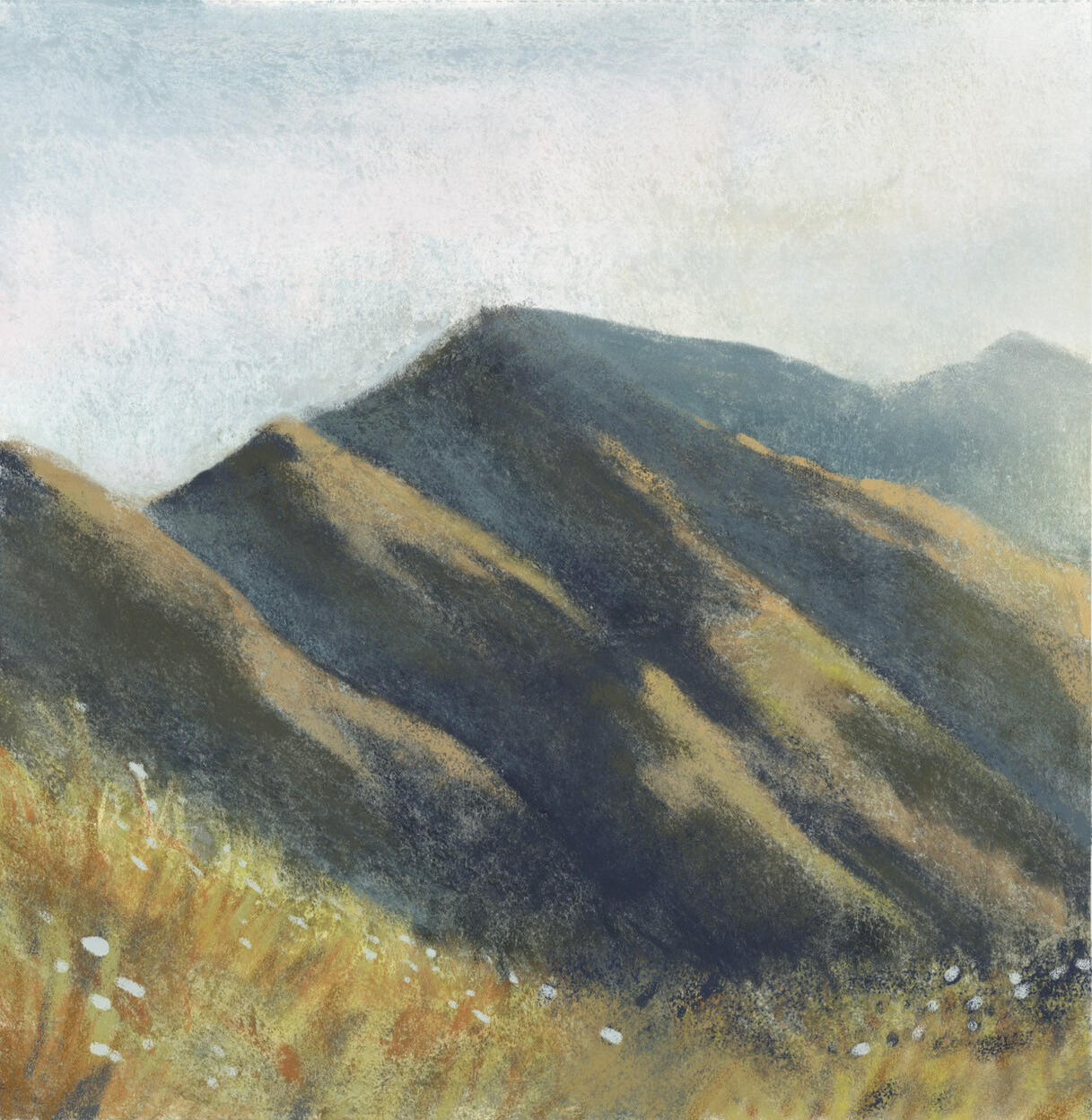 Untitled Untitled