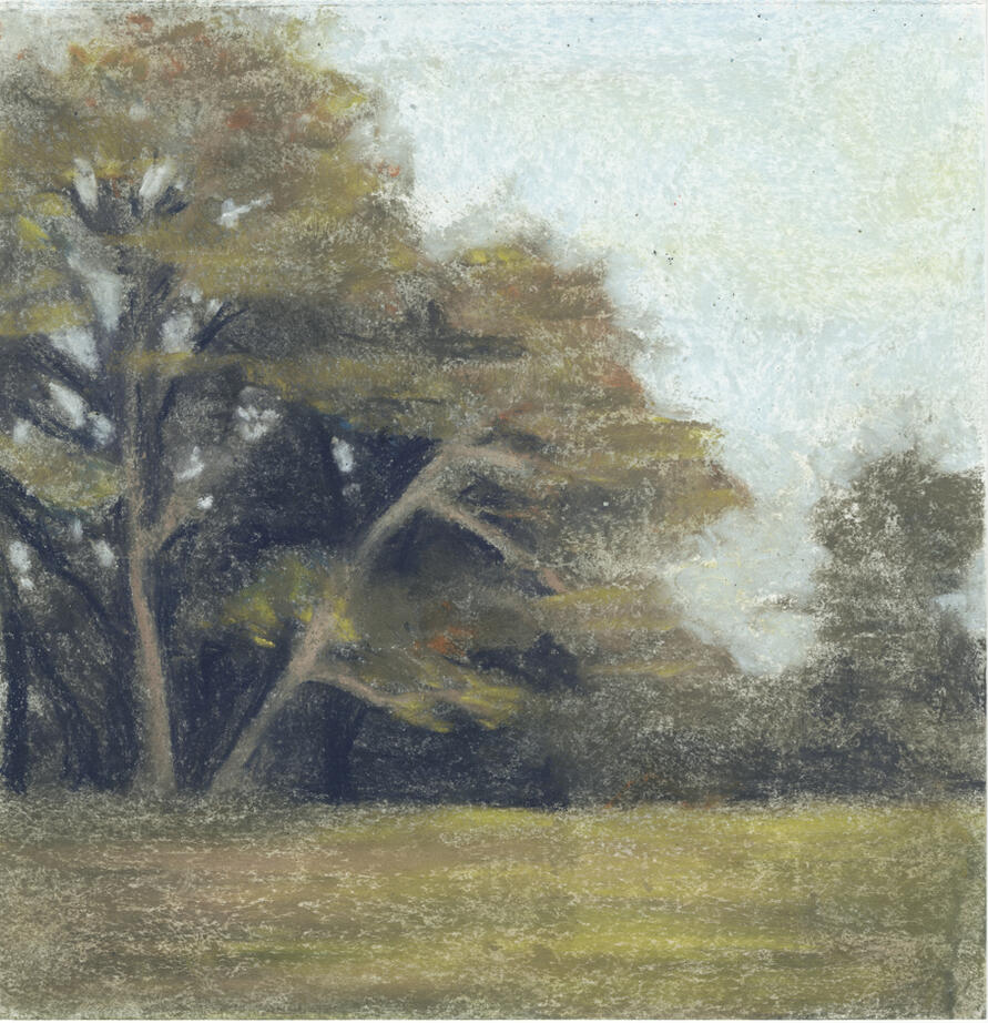 Bannatong Soft Pastel Outdoor live drawing